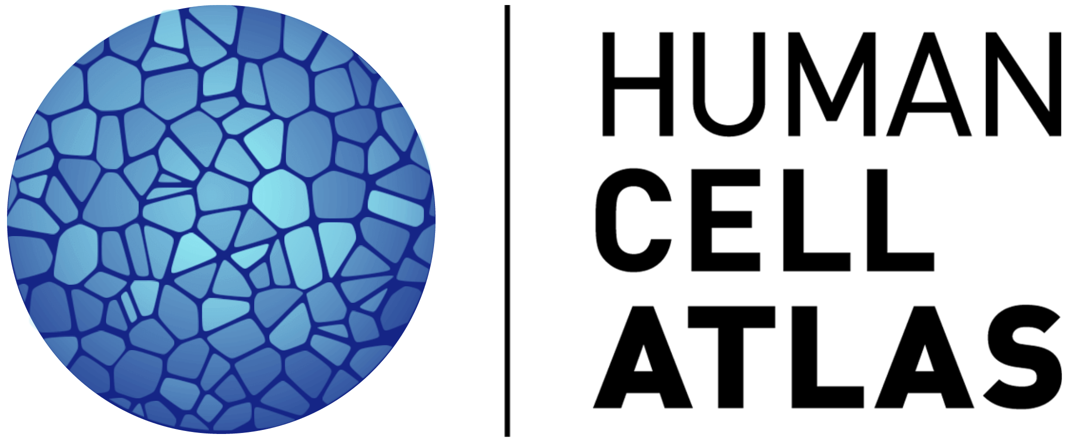 Human Cell Atlas